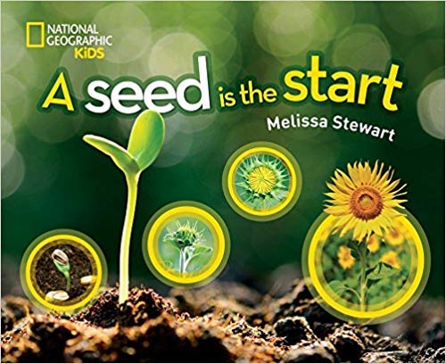 A Seed is the Start